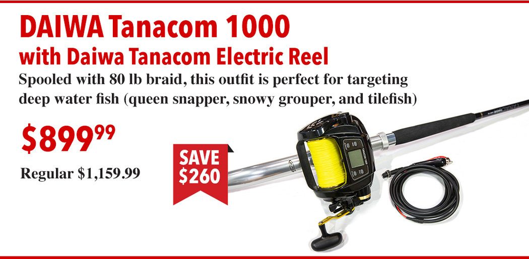 Christmas Specials : DAIWA Tanacom 1000 w/ DAIWA Tanacom Electric Reel